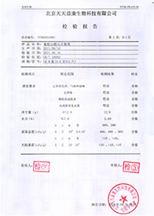 检验报告